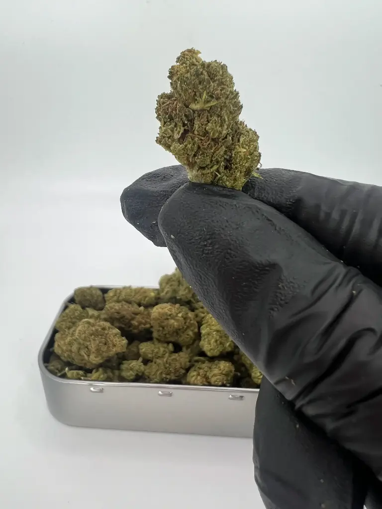 BLUEBERRY MUFFIN MEDS