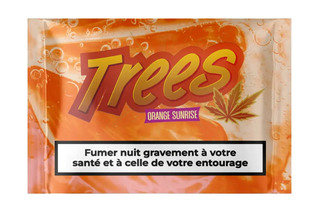 TREES ORANGE SUNRISE