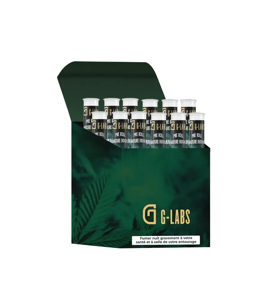 Display 12pcs Amnésia