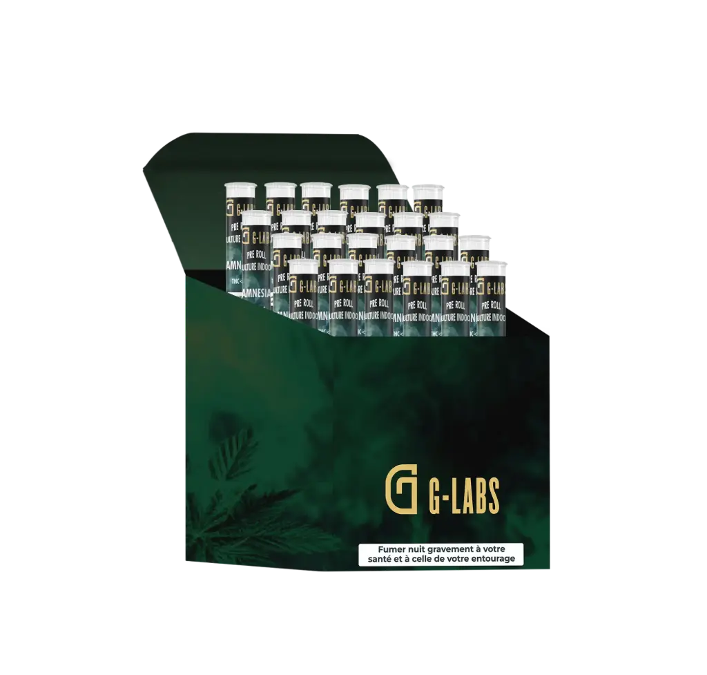 Display 24pcs Amnésia