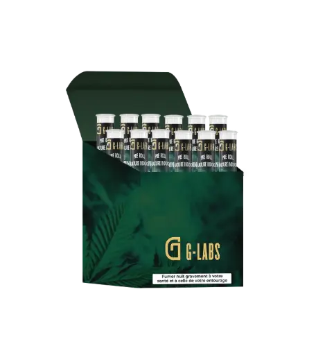 [00027159] Display 12pcs Amnésia