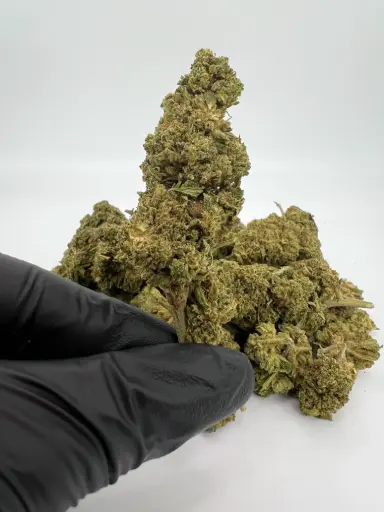 CALI ORANGE