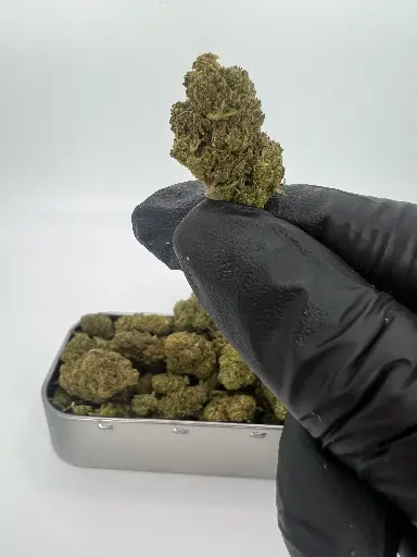 BLUEBERRY MUFFIN MEDS